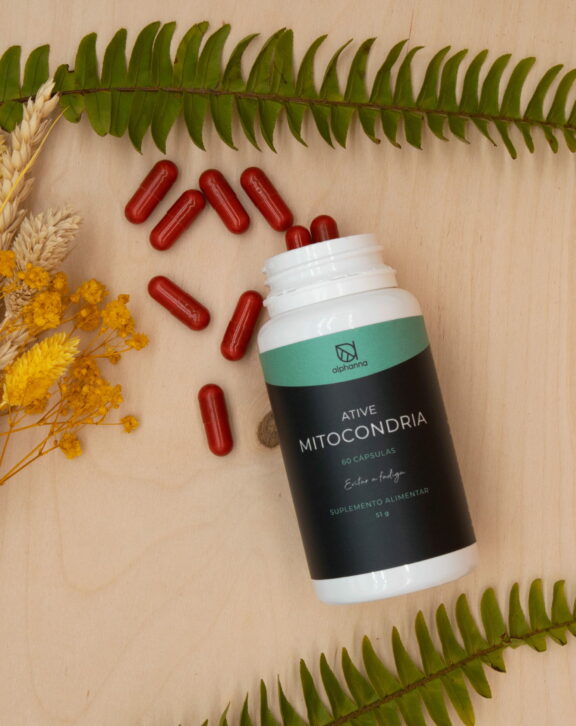 Food supplement based on plant extracts.